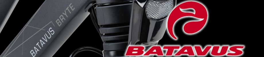 Balhoofdstellen Batavus Balhoofdstellen Batavus