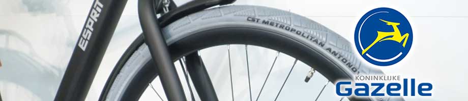 Buitenbanden Gazelle Buitenbanden Gazelle