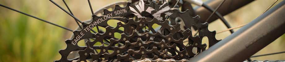 Cassettes / Freewheels