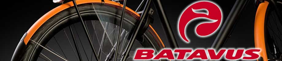 Jasbeschermers Batavus Jasbeschermers Batavus