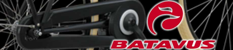 Kettingkasten en kettingschermen Batavus Kettingkasten en kettingschermen Batavus