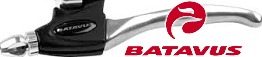 Remgrepen Batavus Remgrepen Batavus