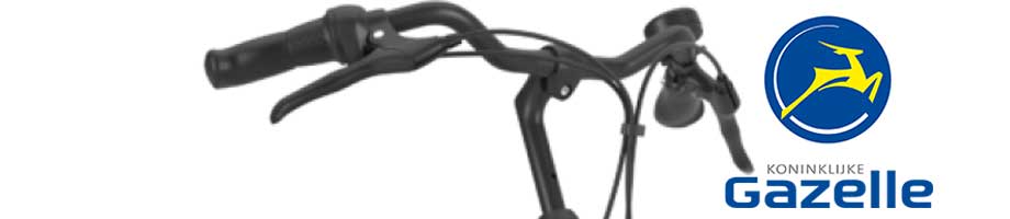 Remgrepen Gazelle Remgrepen Gazelle