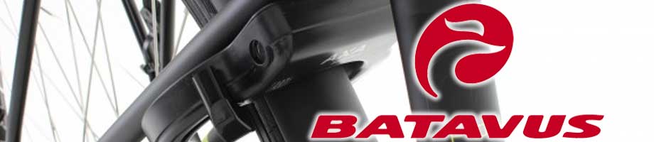 Sloten Batavus Sloten Batavus