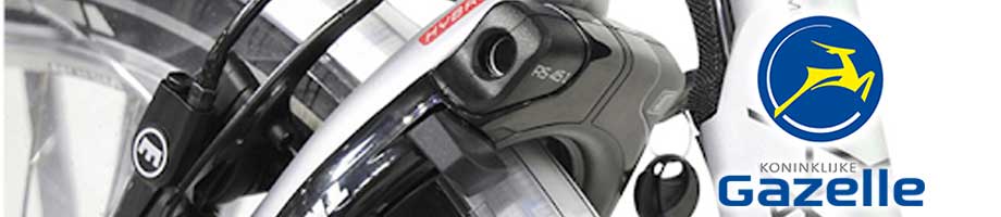 Sloten Gazelle