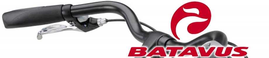 Sturen Batavus Sturen Batavus