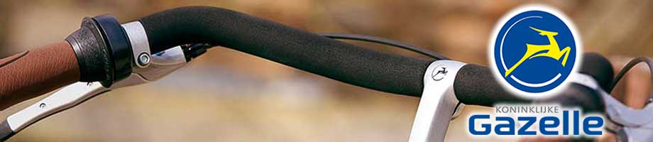 Sturen Gazelle