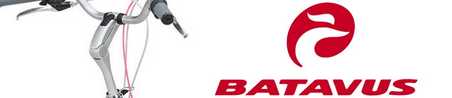 Stuurpennen Batavus