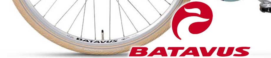 Velgen Batavus Velgen Batavus
