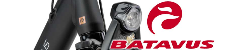 Verlichting Batavus Verlichting Batavus