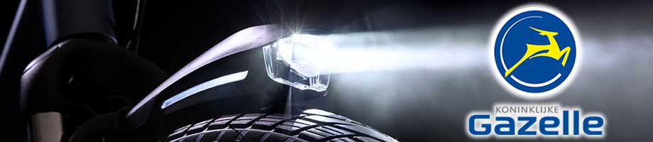 Verlichting Gazelle Verlichting Gazelle