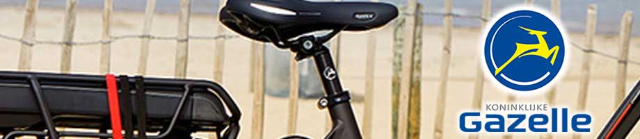 Zadelpennen Gazelle