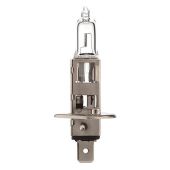 Lamp 12V 55W P14,5S H1 halogeen